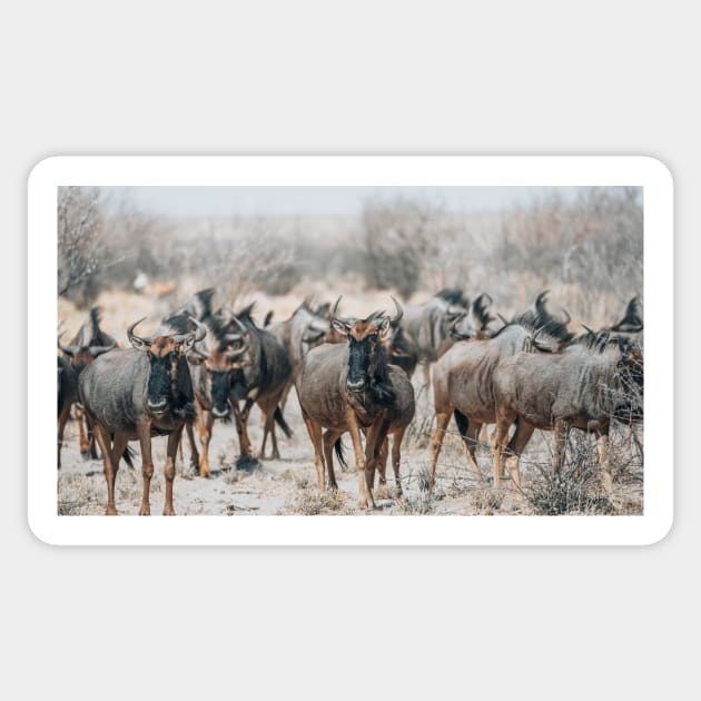 Blue Wildebeest Sticker by withluke